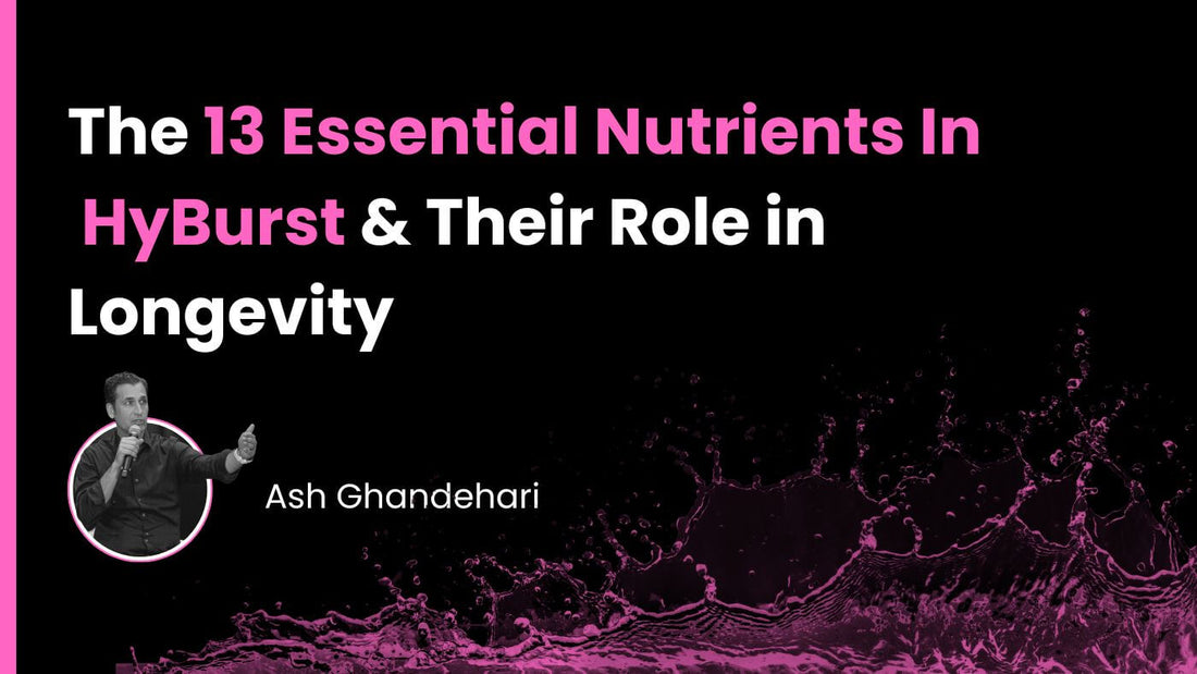 The 13 Essential Nutrients In HyBurst & Their Role in Longevity