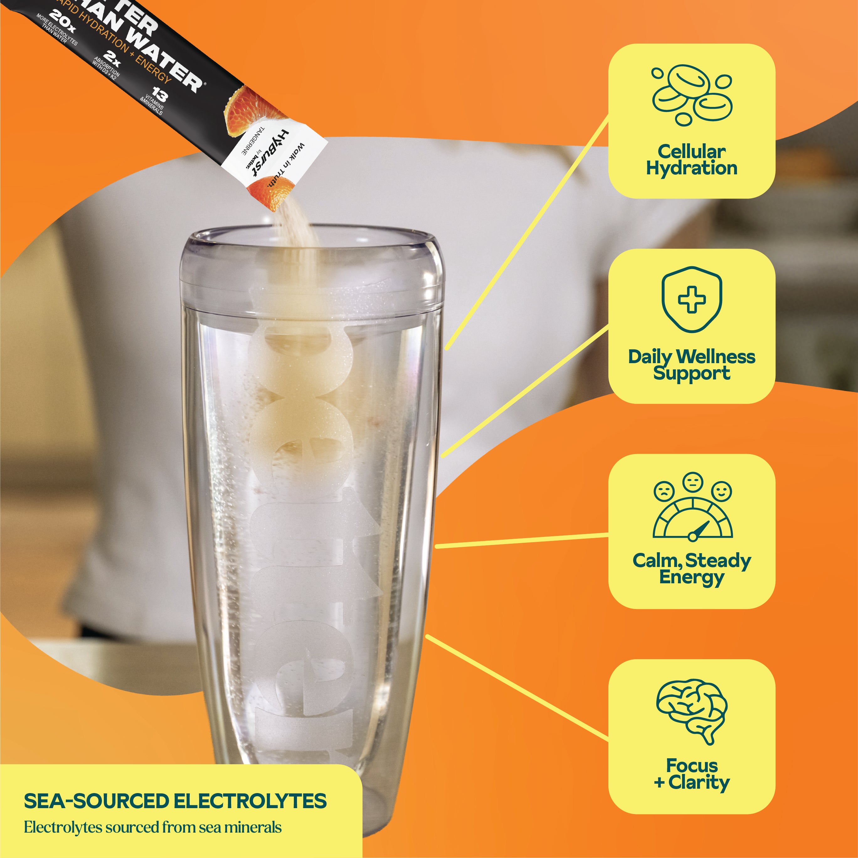 Citrus Variety Pack: Electrolyte + Vitamin Supplement Powder