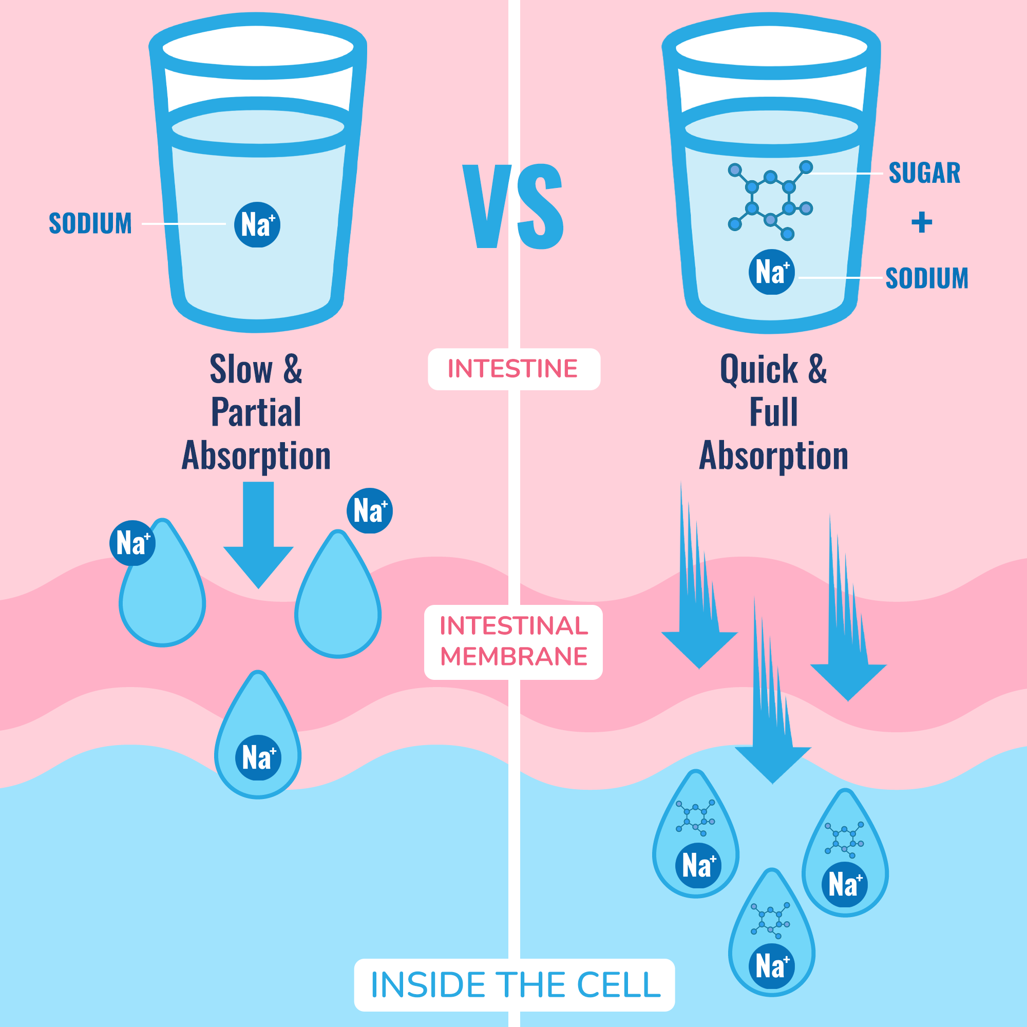 Hyburst Power Pack | 45-Day Supply