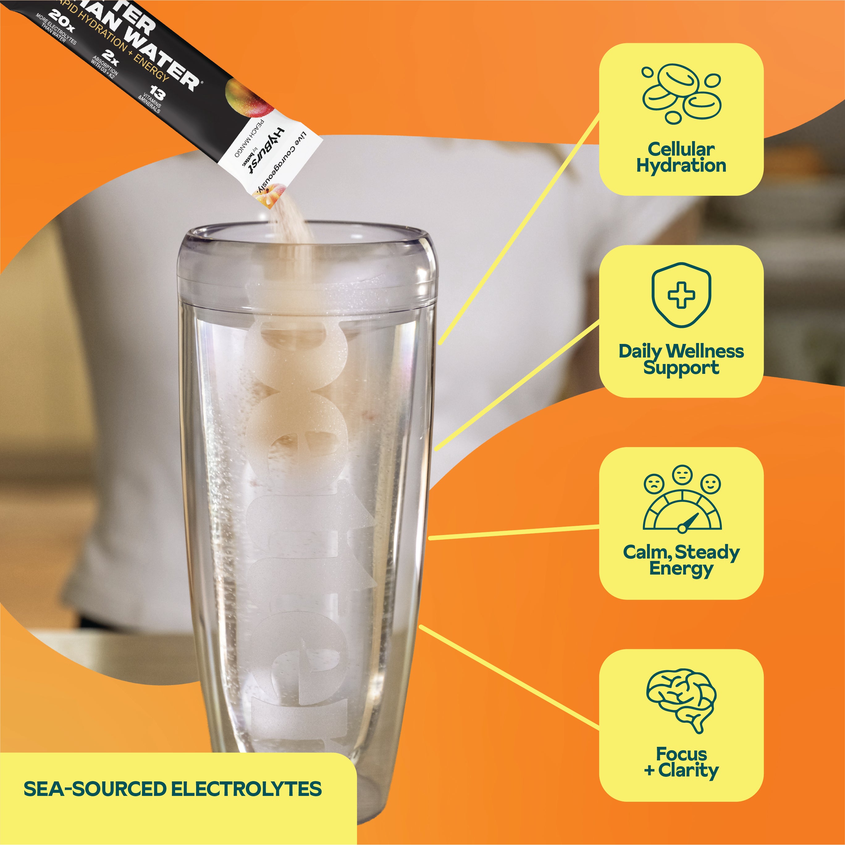 Tropical Variety Pack: Electrolyte + Vitamin Supplement Powder