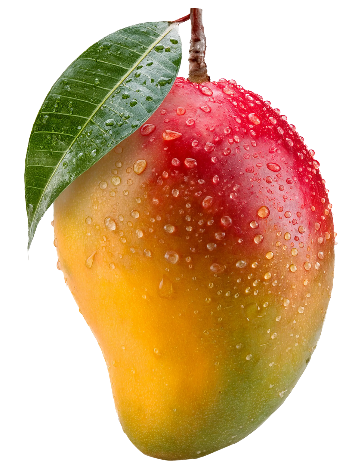 Mango with water droplets and a green leaf on a white background